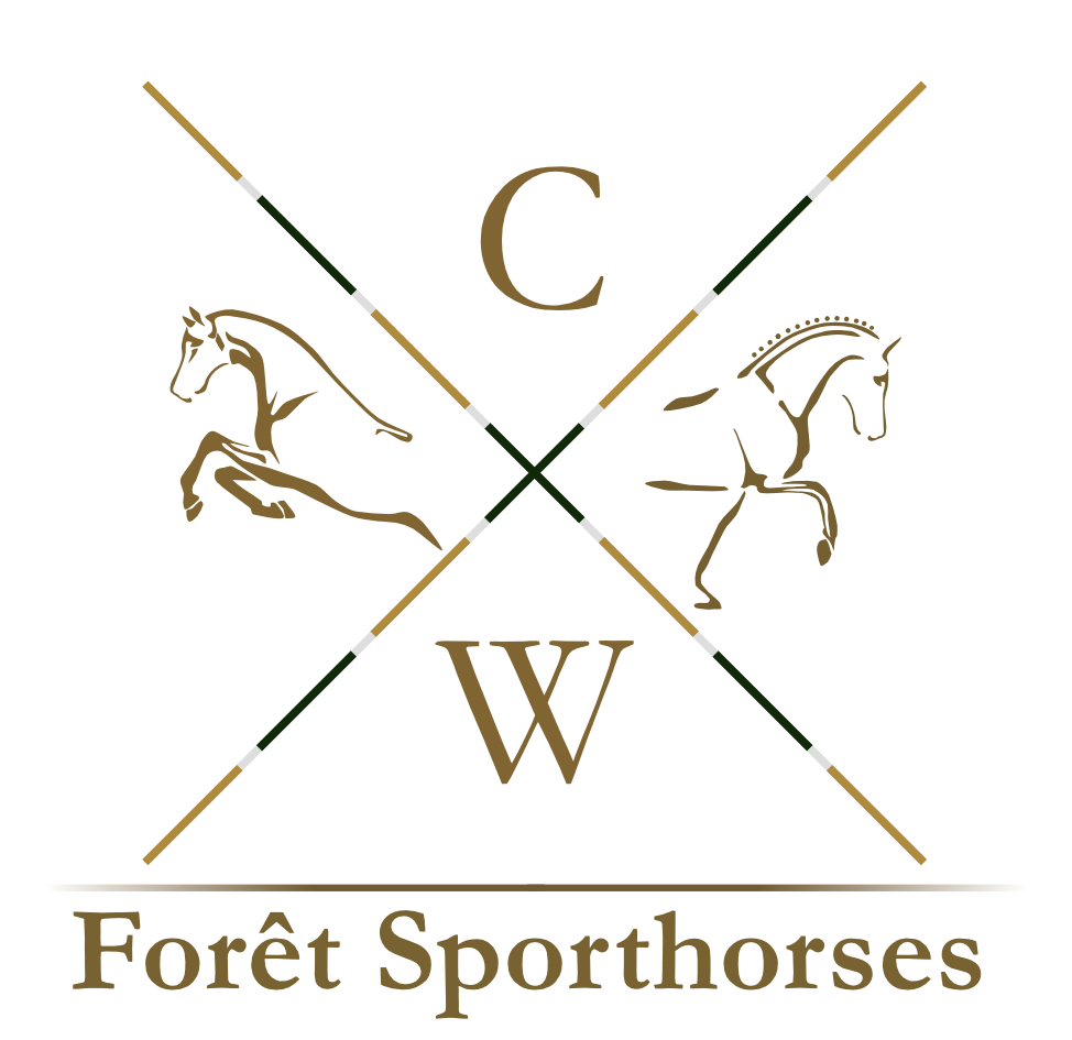 Foret Sporthorses